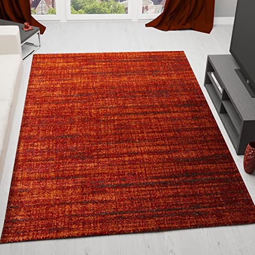 VIMODA Modern Brown Rug, Living Room and Bedroom, Long and Fluffy Pile, Heather, Used Appearance, Maße: 80 x 300 cm