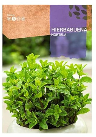 Semillas Planta Aromática Hierbabuena para Cultivar Mentha Spicata