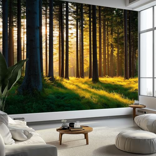 350 x 256 cm Papel pintado mural Amarillo Verdoso Arte Papel tapiz Fotomural Naturaleza Bosque Atardecer, Moderna Decoración Tejido no Tejido Decoración De Pared Sala Cuarto