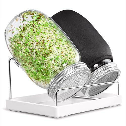 SBMKK Seed Sprouting Jar Kit - 2 Wide Mouth Mason Jars with 316 Stainless Steel Sprouting Lids Covers, Drip Tray and Stand for Growing Broccoli Alfalfa Beans Sprout (Two Jars)