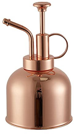 Thaoxl Small Mini Stainless Steel Watering Pot,with Top Pump,for Indoor Plants Garden,300ml Watering Can for Home Decoration (Color : Brass, Size : 300ML)