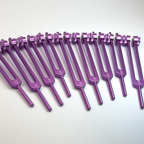 Secret Solfeggio Stimmgabel-Set für Kofferraumbefestigungen, Violett, 9-teilig | Speziell für die Verwendung mit Stiefelbefestigungen – Klangübungen, Meditation und präzise Platzierung