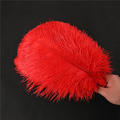 Duories 10 Stück 30-35cm Natürliche Straußenfedern,Strauß Feder zum Basteln,Bastel Federn für DIY Traumfänger Zubehör,Heimdekoration,KostüMe,Tischdeko Hochzeit Party Fest Hüte Kleidung Dekoration,Rot