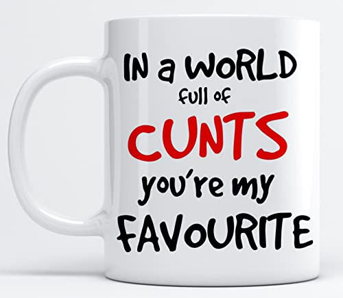 EKAM in a World Full of Cunts You're My Favourite Awesome Mug Ceramic Mug Gifts Coffee/Tea Mug Gifts for Birthday Present, Gift Present for Christmas for Your Family and Friends (11oz Mug)