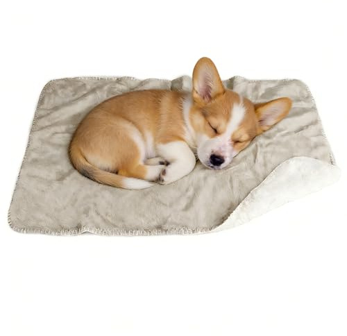 Pawsee Wasserdicht Hundedecke Katzendecke mit Pfotenabdruck, Waschbar Fleece Sherpa Hundehandtuch für Couch Bett Outdoor, wasserdichte Tagesdecke Bettschutz Sofa Überwurf Sofabezug, 75 x 50 cm, Taupe