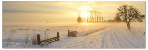 Paul Sinus Art Panoramabild auf Leinwand und Keilrahmen 120x40cm Winterlandschaft Sonnenuntergang Nebel