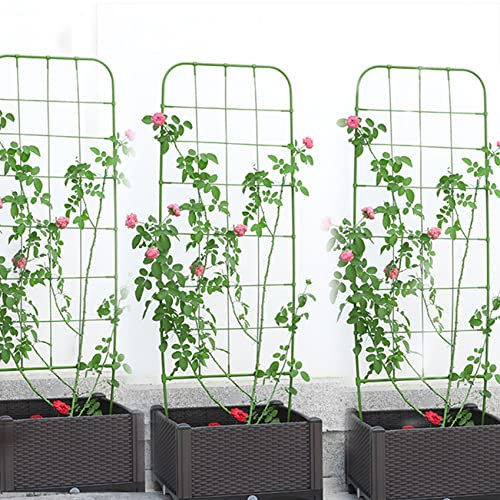 ZYFA 3er Set Rankhilfe Garten Rankgitter Kletterhilfe Rankhilfe Spalier Pflanzengitter für Kletterpflanzen,Pflanzen,Rosen, Rankzaun Beetzaun Rundbogen Blumengitter Gartendeko