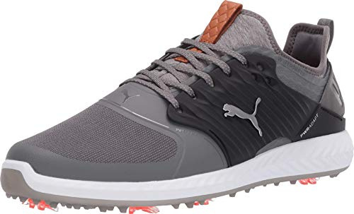 PUMA Ignite Pwradapt Caged, Scarpe da Golf Uomo, Quiet Shade Silver Schwarz, 41 EU