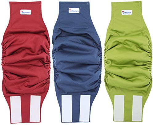 Petsweare Wasserdicht Saugfähigkeit Waschbare Robuste Wiederverwendbare Hundewindeln Inkontinenzunterlage für Männlichen Welpe und Hunde 3 Pack (Small, Grün-Rot-Blau)