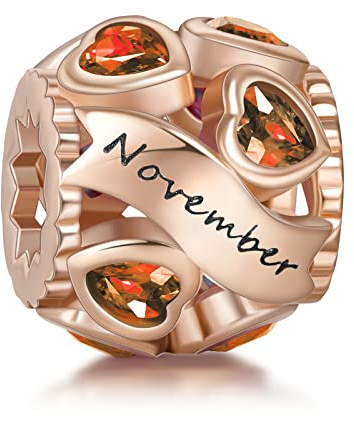 NINGAN Charmss de Naissance pour Bracelets Charms de Perles Ajourées en Argent Sterling 925 pour Bracelets et Colliers
