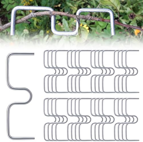 YTSMFL 50 Stück Astspreizer für Obstbäume, Metall M Förmiger Astspreizer Astklammern Metall für Gartenzweige Zum Spreizen und Ebnen von Obstbaumzweigen
