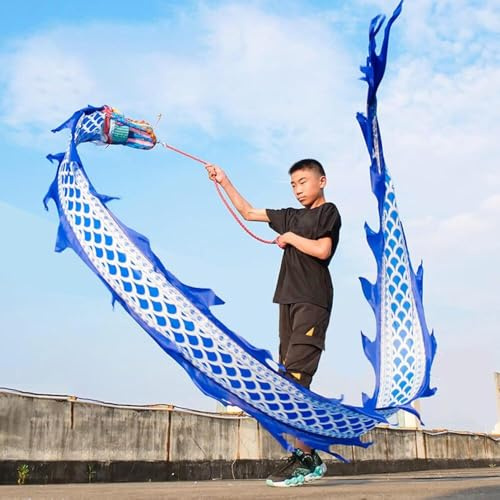 Generisch Jongliertücher Dragon Poi Für Kinder, Fitness Poi Für Erwachsene, 2m/3m/5 M Jonglierband Mit Kopf, Seil & Tragetasche, Blau/Weiß, Jonglier-Spielzeug Outdoor