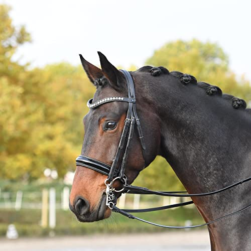 Busse