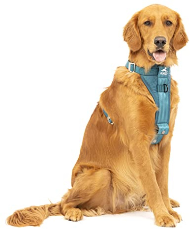 Kurgo TRU-Fit Autosicherheitsgeschirr für Hunde, Mit gepolstertem Brustteil und D-Ring, Mit Autogurt, Größe XL, Tintenblau