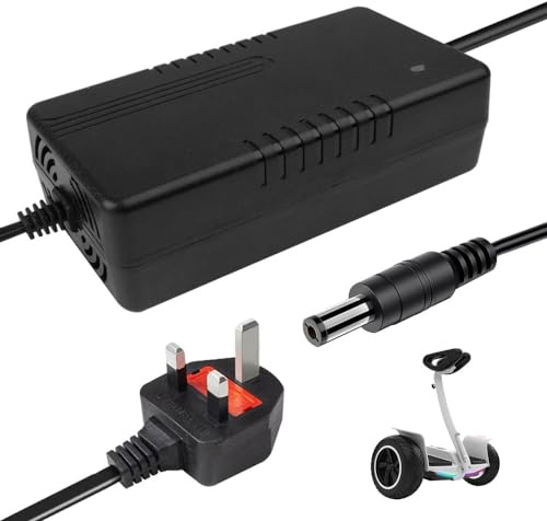 ZOYDP Battery Charger 58.8V 4A for Electric Bike, 52V 14S Lithium Battery Charger, 58.8V charger 4A Universal for Electric Scooter, Electric Bicycle, Motorbike, With DC 5.5mm*2.1mm Connector