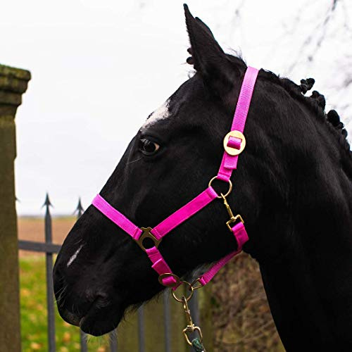 Halter for Horses Warmblood, Thoroughbred, Cold Blood - Stable Halter, Pasture Halter, 2 Adjustable Positions on Chin Strap and Headpiece, Safe and Tear-Resistant (Pink, Mini Shetty)