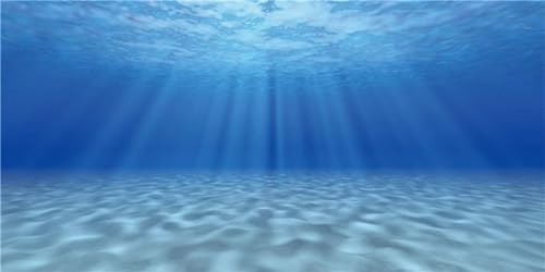 MIRRORANG 91x41cm Unterwasser-Thema Aquarium Hintergrund Sonnenschein Unterwasserwelt Aquarium Dekoration Hintergrund Vinyl Hintergrund