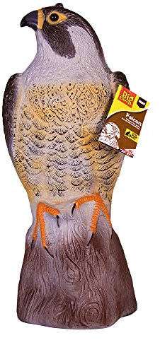 The Big Cheese Standing Falcon Life-like Decoy Deterrent, Scares Birds from Gardens and Buildings, Beige