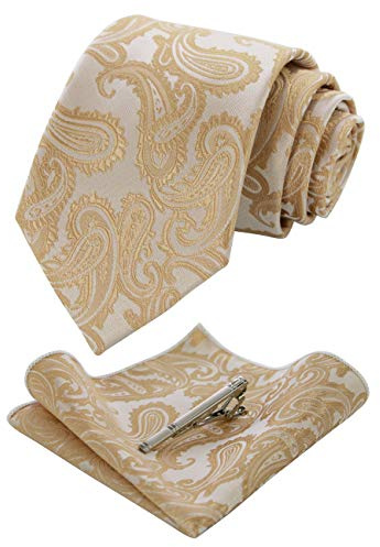 JEMYGINS Conjunto de Corbata y Pañuelo para Hombre Elegante Paisley Graziös con Pinza para Corbata Oro oscuro