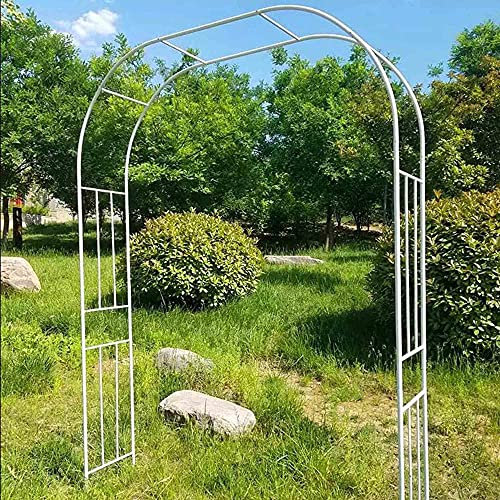 Arche de jardin en fer forgé pour plantes grimpantes Noir Hauteur 150 cm Idéal pour les rosiers et les supports de fleurs dans la pelouse ou le jardin