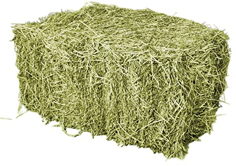 Palatina Werkstatt ® | 15 kg de bolas de heno | directamente del agricultor | Conejos frescos y sin pulverizar para roedores o cobayas
