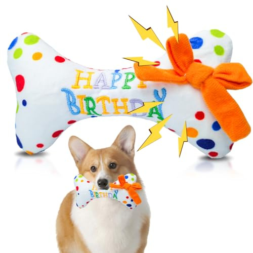 QIMMU Hund Geburtstag Spielzeug, Hundegeburtstag Plüschtier Knochen, Hund Geburtstag Geschenk, Weich Plüsch-Quietschspielzeug für Hunde Haustiere (1PCS)