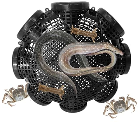 BommFu Piège à cancer, piège à appâts pour appâts vivants - Rangement portable pour aquarium, bateau, extérieur