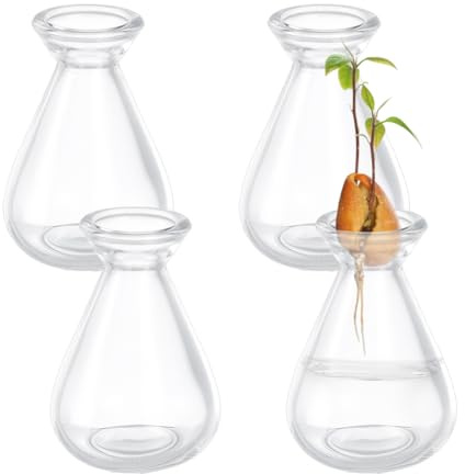 NBEADS 4 Pcs Avocado Seed Starter Vases, Clear Glass Avocado Growing Pot Plant Germination Vases for Growing Acorn Seeds Herbs Bulbs Indoor Plant Gardening Lover