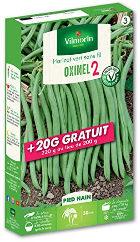 Graines de Haricot Nain Vert Oxinel 2 200grs + 20 grs gratuits