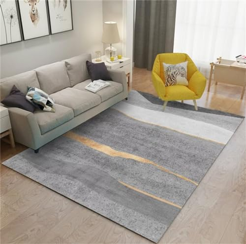 RUGMRZ Girls Rugs for BedroomTeppich Für Flur Spiele Teppich 200x300CM grauModernes, minimalistisches Design Pflegeleichte Teppiche Waschbarer