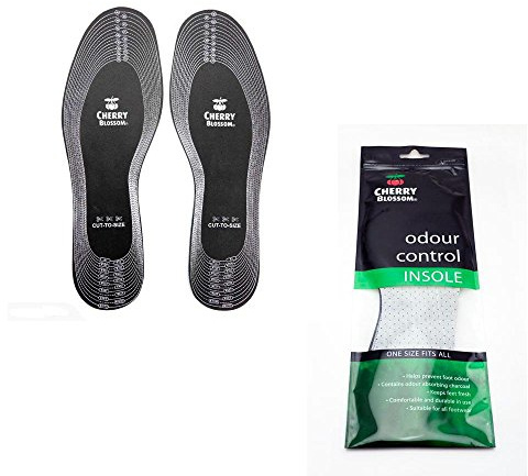 Cherry Blossom Odour Destroyers Bags and Accessories Synthetic Material Shoe Care Grey - One Size HOCHE015