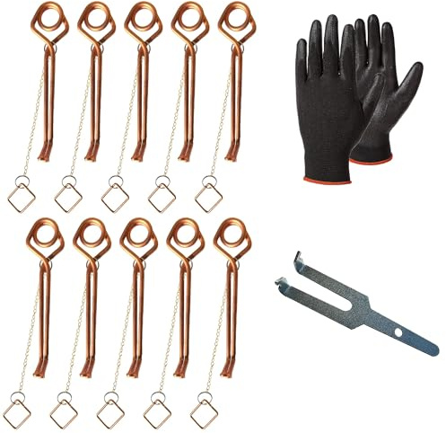 Piège à Taupe Putange Lot de 10 - Campagnol et Rat Taupier Éliminés sans Fumigène ni Poison - Kit Pro Gants + Clé d'Armement + Guide Vidéo