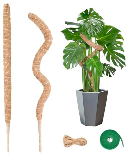 2 Stück 60CM Moosstab Monstera, Garden Sage Biegsame Monstera Rankhilfe für Pflanzen, Kokos Pflanzenstab Monstera Moss Pole für Garten Kletterpflanzen Zimmerpflanzen