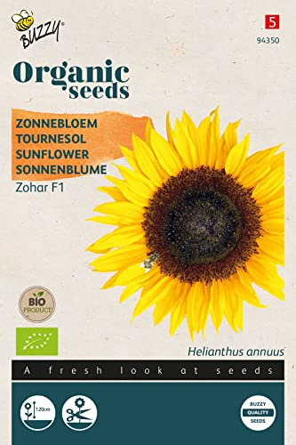 Buzzy Organic Sonnenblume Zohar F1(BIO)
