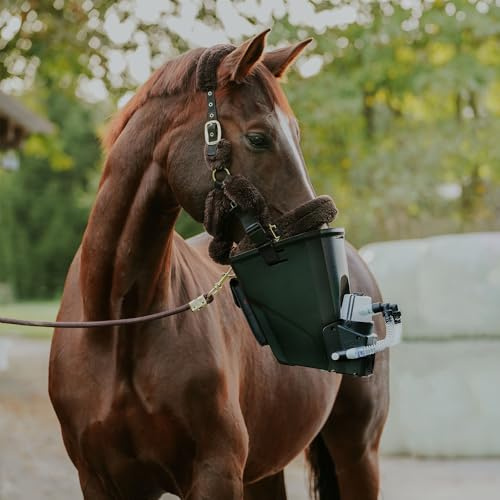 Inhalator für Pferde | Equosonic Free Starterpaket | Medizintechnik Hartwig (Schwarz, Pferd/Standard)