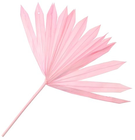 TOVINANNA Foglie di Palma Essiccate Decorative Rosa per Composizioni Floreali, Materiale per Decorazioni Fai da Te e Allestimenti Festa, Decorazioni Naturali per Casa e Vetrine