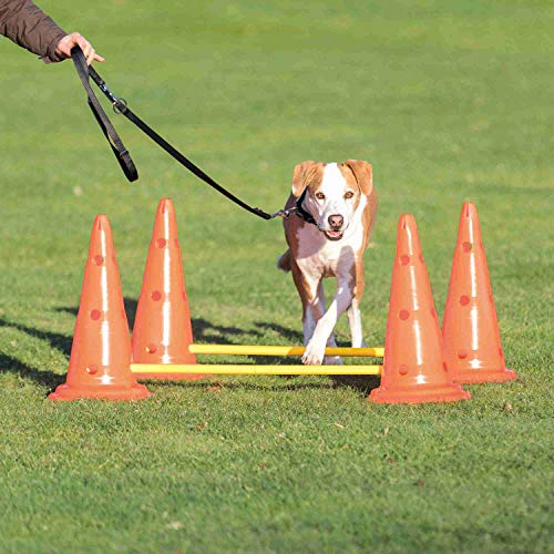Trixie 32092 Dog Activity Hindernisse, 2 St., ø 30 × 50 cm/100 cm, orange/gelb
