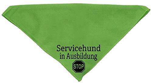 Hundehalstuch Servicehund in Ausbildung