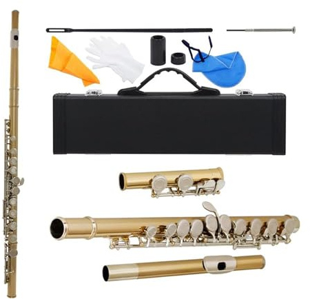 Querflöte Instrument Geschlossene 16-Loch-C-Flöte Cupro-Nickelflöte Mit E-Klappe Holzblasinstrumente Handschuhe Flötenteile Und Zubehör(Gold and Silver)