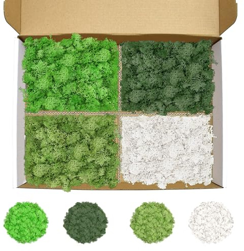 TCYPUHL Preserved Reindeer Moss 14 OZ 4 Colors for DIY Gift, Potted Plants,Craft Wall Art,Festive Home Decorative Christmas(Green, Dark Green, Chartreuse and White, Each Color 3.5 OZ)