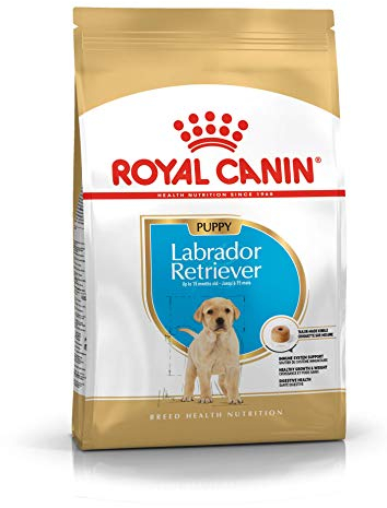 Royal Canin Labrador Retriever Junior 12 kg, 1er Pack (1 x 12 kg)