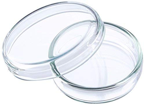 Neolab 2130 Boîtes de Petri en verre 40 mm x 12 mm., Lot de 5