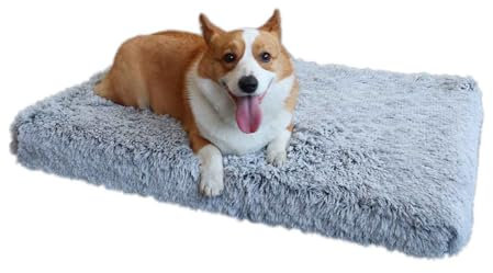 LULUMAIC Hundebett aus Memory-Schaum, orthopädisches Hundebett und Sofa, Flauschige Plüsch-Hundematratze mit abnehmbarem, waschbarem Bezug, Hundematten-Matratze mit Rutschfester Unterseite, hellgrau,