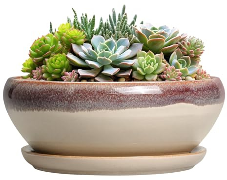 SQOWL Sukkulententöpfe 20,3 cm – Keramik-Bonsai-Töpfe für Zimmerpflanzen, runder Flacher Pflanzentopf mit Ablaufloch und Untersetzer, Schalen-Pflanzgefäß für den Außenbereich, Terrassendekoration
