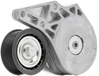 RIDEX 310T0258 Spannrolle Keilrippenriemen Kompatibel mit VW Golf 3 1H1 021145299 021145299B 1106830