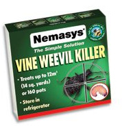 Nemasys Vine Weevil Killer (Small): Next-Day Delivery