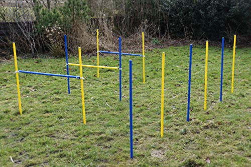 AGILITY-ÜBUNGS-HÜRDEN/SLALOM-STANGEN-SET IN BLAU/GELB