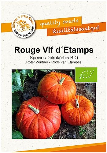 Rouge Vif dEtamps BIO Kürbissamen von Bobby-Seeds Portion