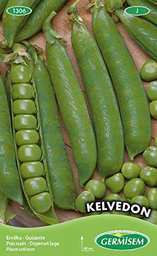 Germisem Kelvedon Graines de Pois 100 g