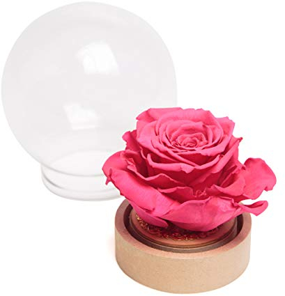 ROSEMARIE SCHULZ Heidelberg Infinity Rose 1 Stück im Glas die Schöne und das Biest wirkliche haltbare Rose in Glaskugel (Large, Pink)